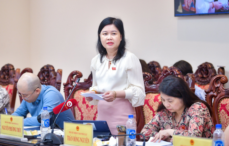 Phó Chủ nhiệm Ủy ban Pháp luật Nguyễn Phương Thủy phát biểu tại phiên họp. Ảnh: Minh Trang